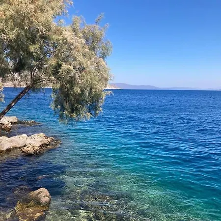 Maison Avec Terrasses Et Vues *
